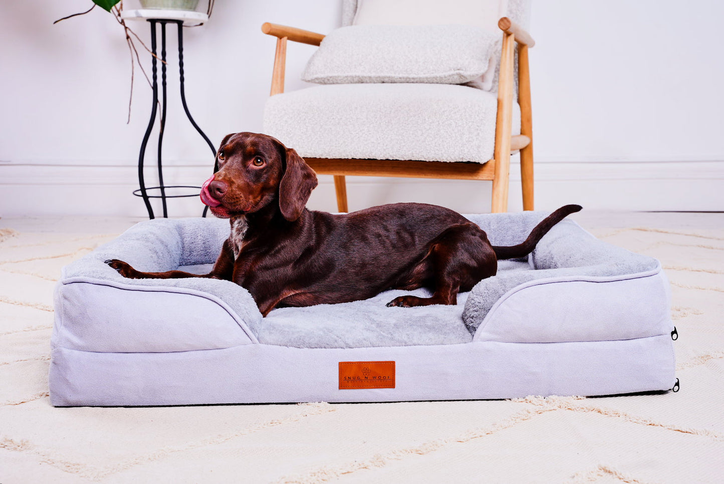 The Belgravia Orthopaedic Dog Sofa™