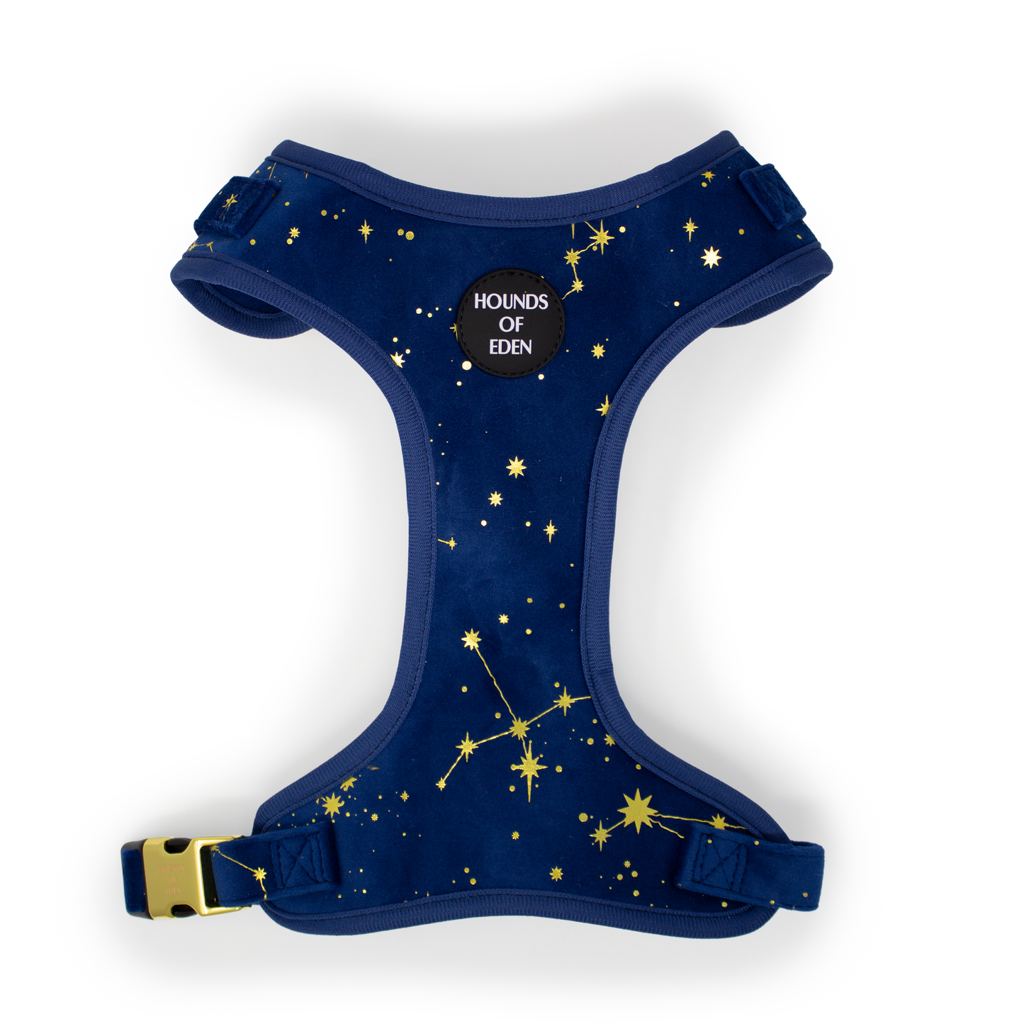 Sapphire Stars Velvet Harness