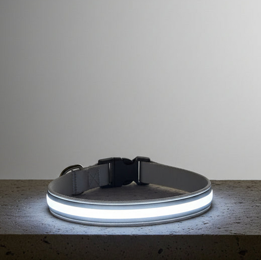 LED Night Collar - White