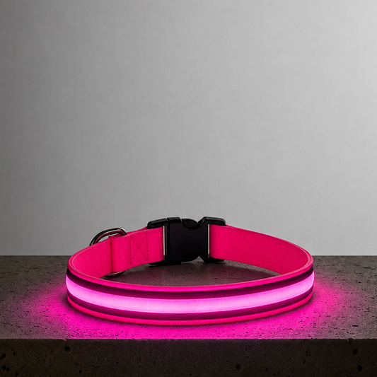LED Night Collar - Pink
