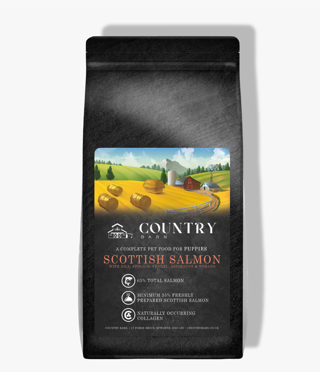 Puppy - Scottish Salmon