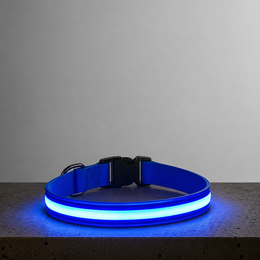 LED Night Collar - Blue
