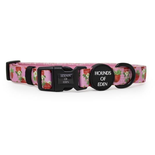 Strawberry Patch Design Dog Collar