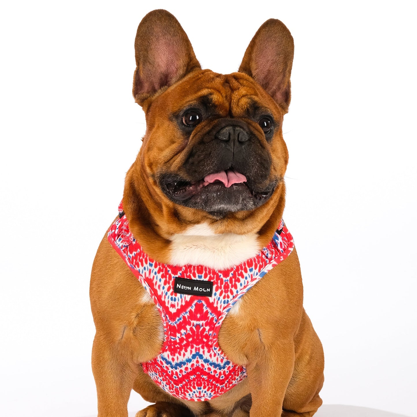 The Tod Mesh Harness