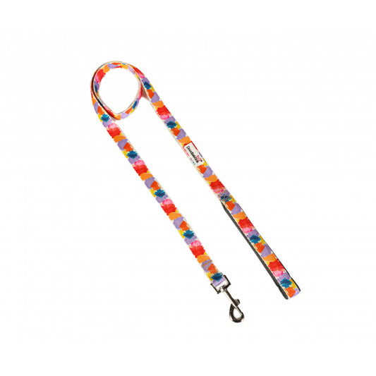 DOODLEBONE Dog Lead - WATERCOLOUR