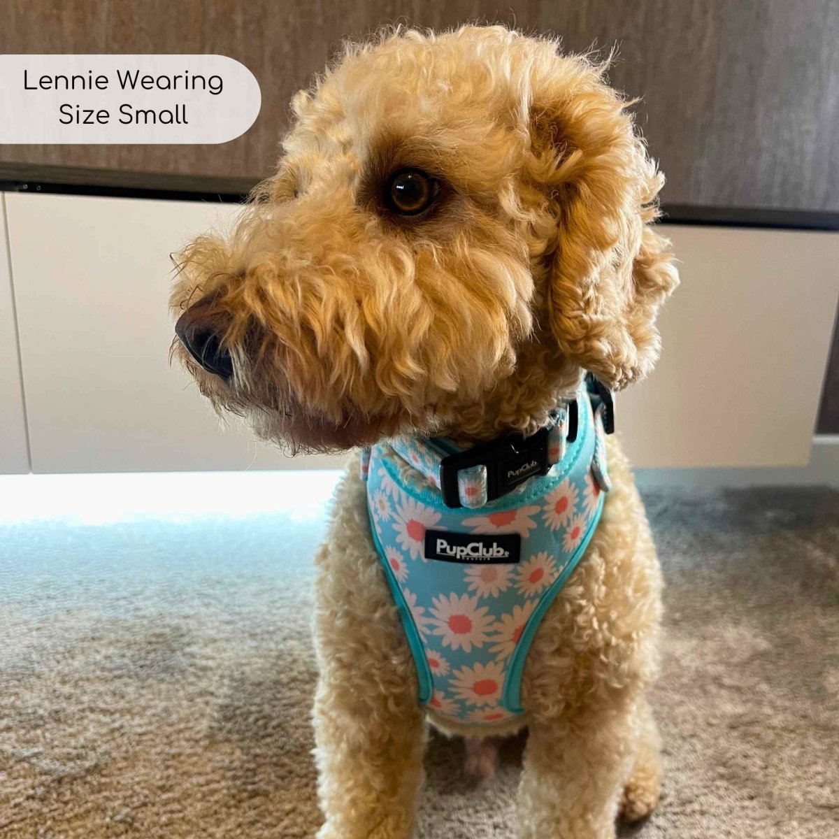 Adjustable Harness - Pastel Daisy