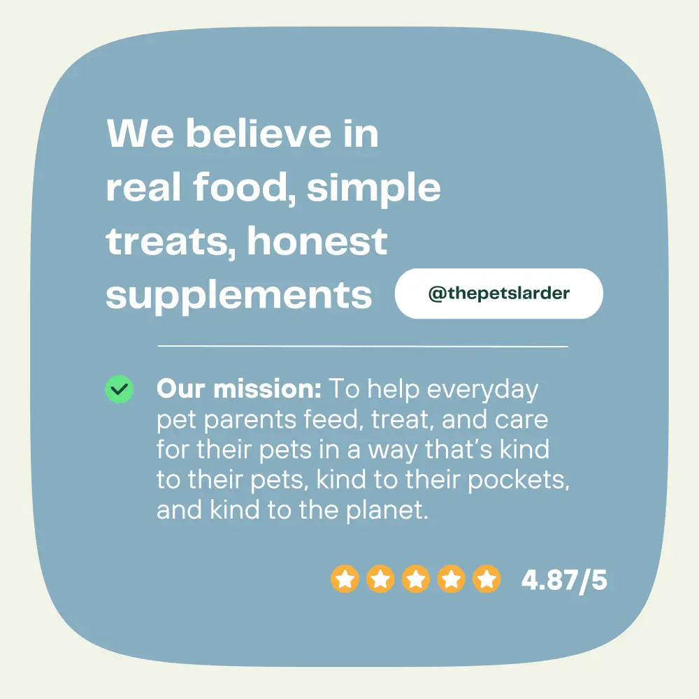 Beef Muscle Chew Natural Meat Chew For Dogs