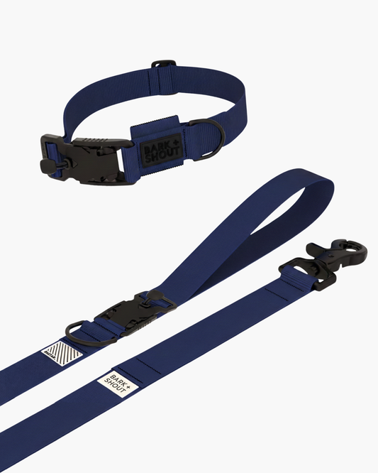 Walk Kit - Collar + Lead + Giftbag | SPRK-KIT 3.0