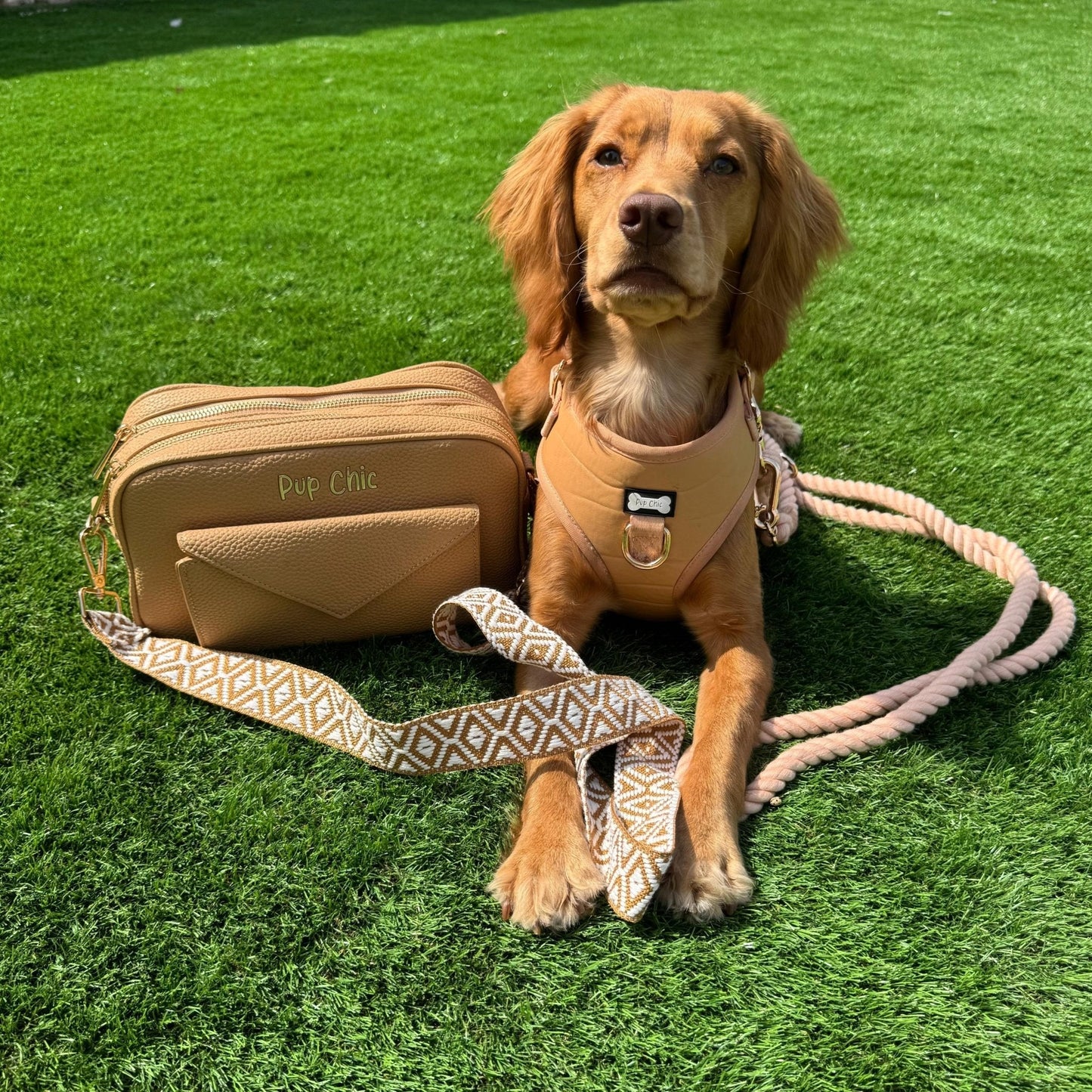 Alfresco Pup faux leather dog harness - camel colour adjustable dog harness