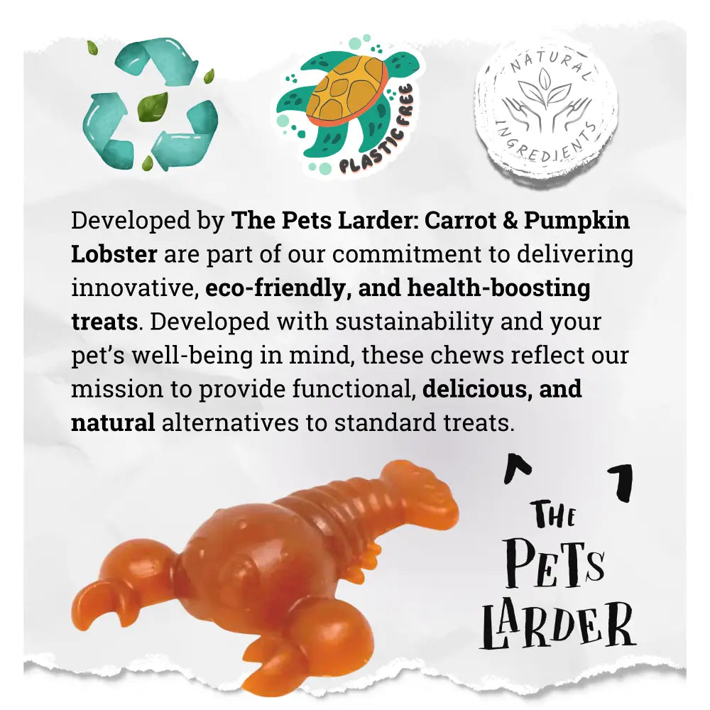 Carrot & Pumpkin Lobster Chew For Dogs