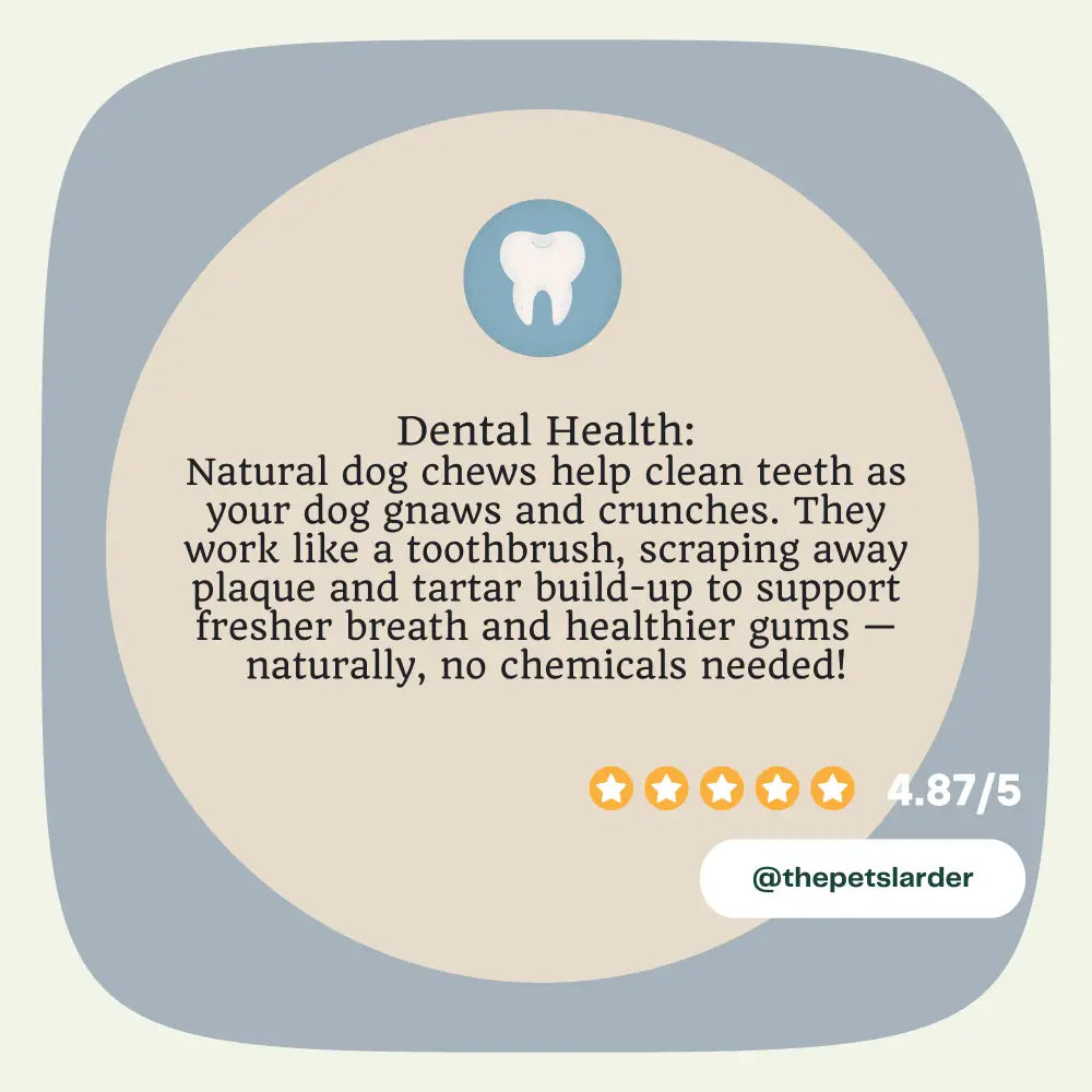 Chicken Neck Natural Meat Chew For Dogs