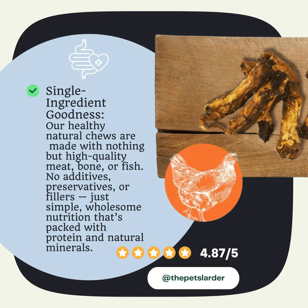 Chicken Neck Natural Meat Chew For Dogs