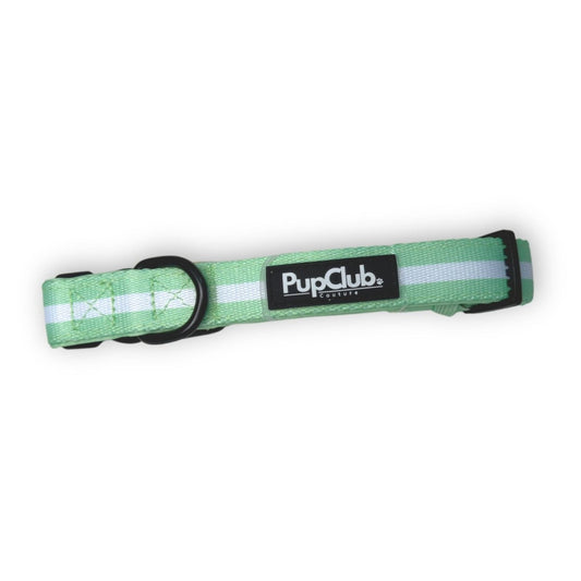 Collar - Pastel Mint