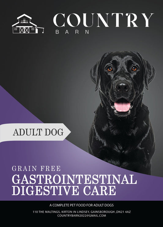 Digestive Turkey Dog Food