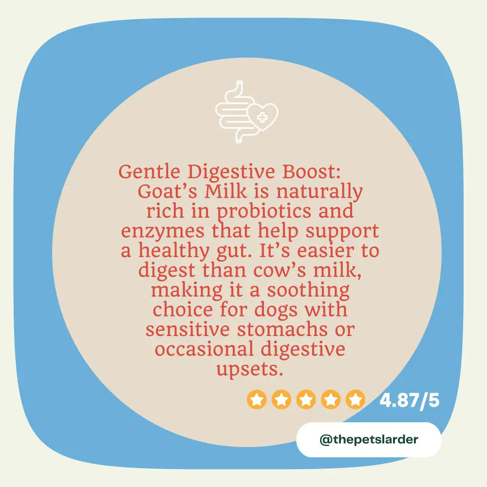 Goats Milk Powder for Dogs A Natural Probiotic