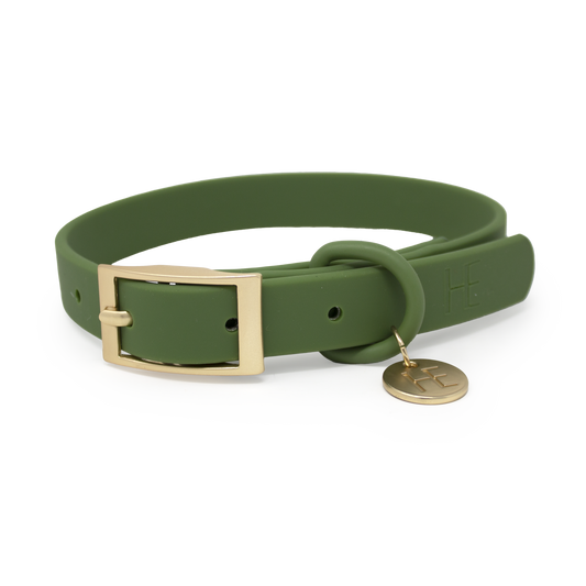 Forest Green 'All Weather' Dog Collar