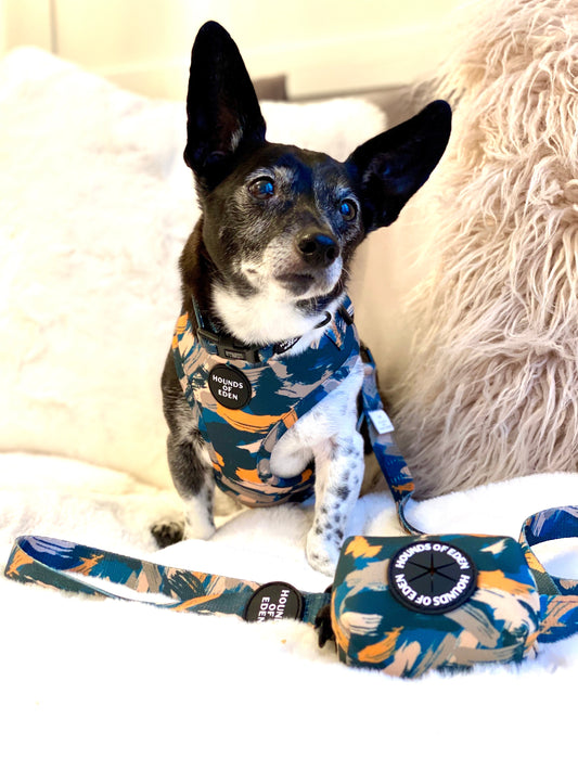 'Brush it Off' - Olive, Blue & Orange Camo Pattern Dog Lead