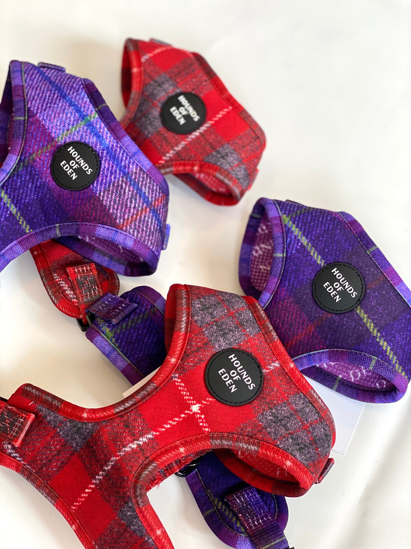 'Molly' - Pink & Purple Check Dog Harness