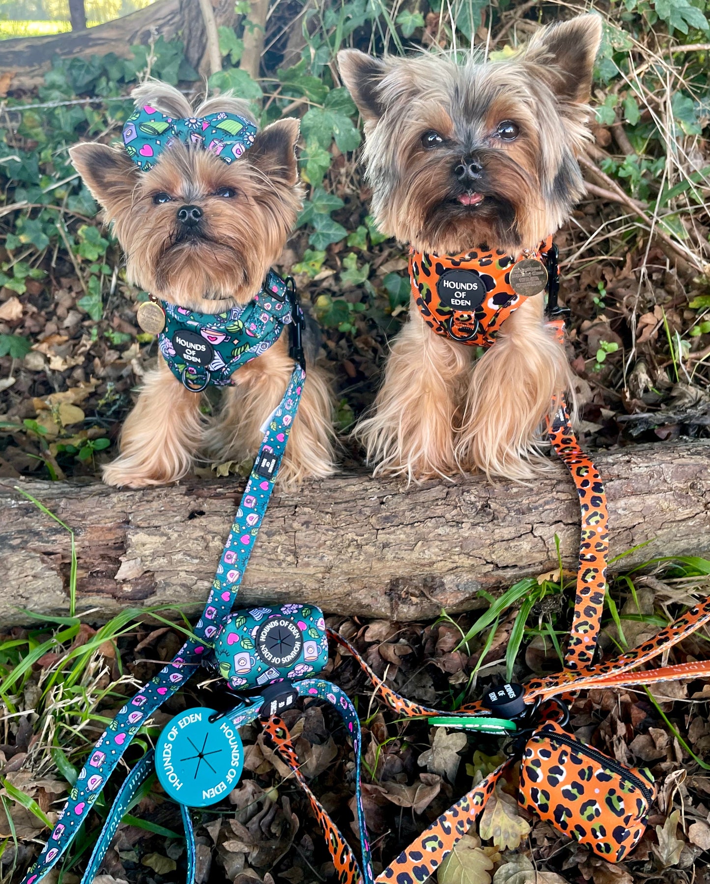 Self Care Design Dog Harness