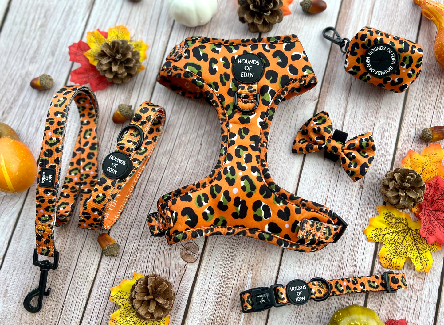 Burnt Orange Leopard Design Dog Collar