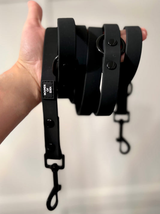 Black Waterproof 2m Training Lead