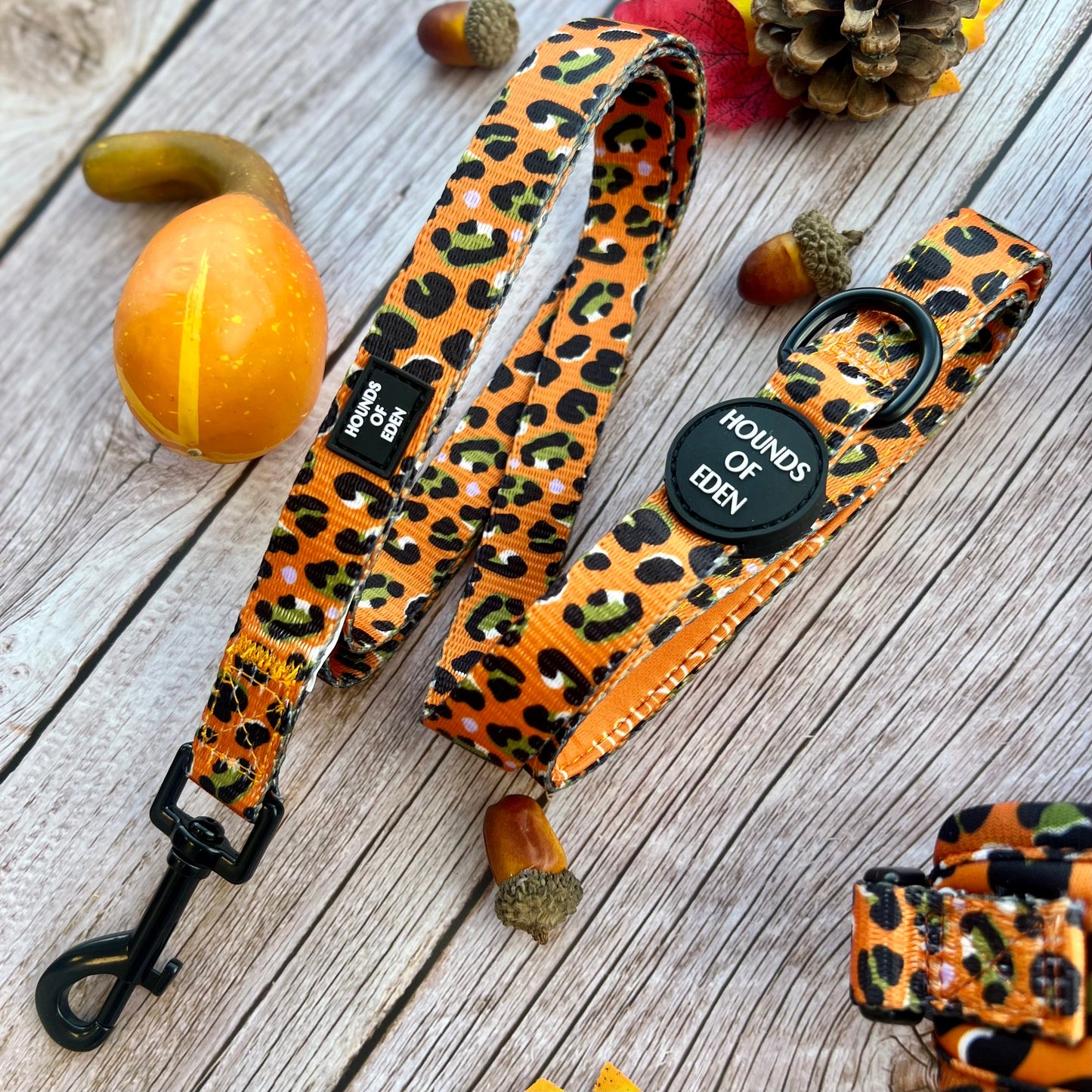 Burnt Orange Leopard Design Dog Collar
