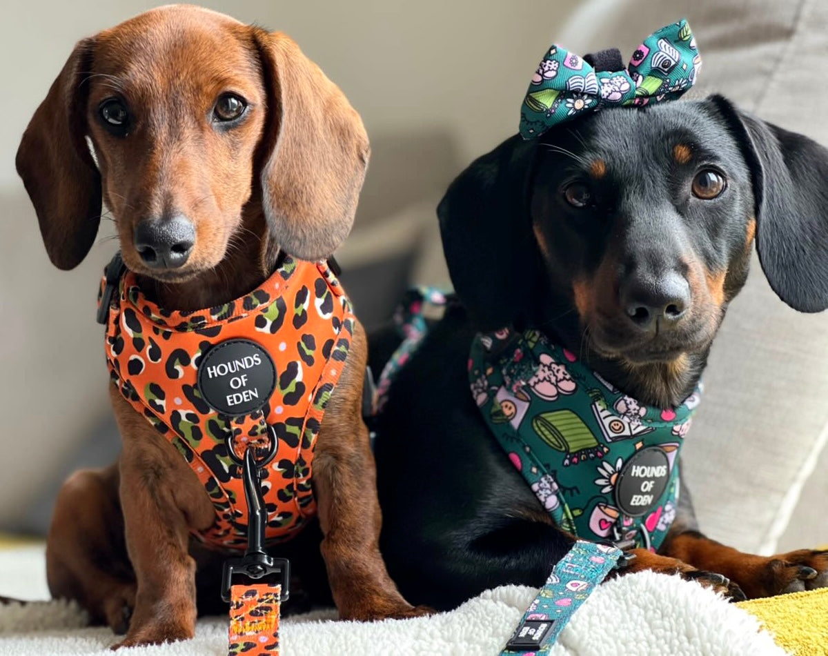 Self Care Design Poop Bag Holder