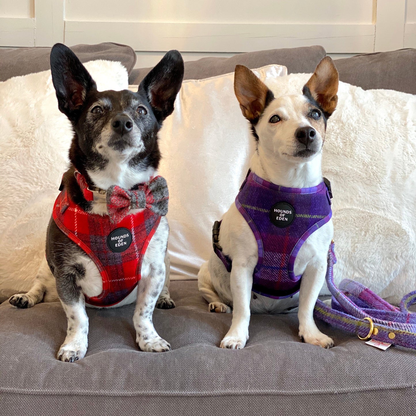 'Sammi' - Red & Grey Check Dog Harness
