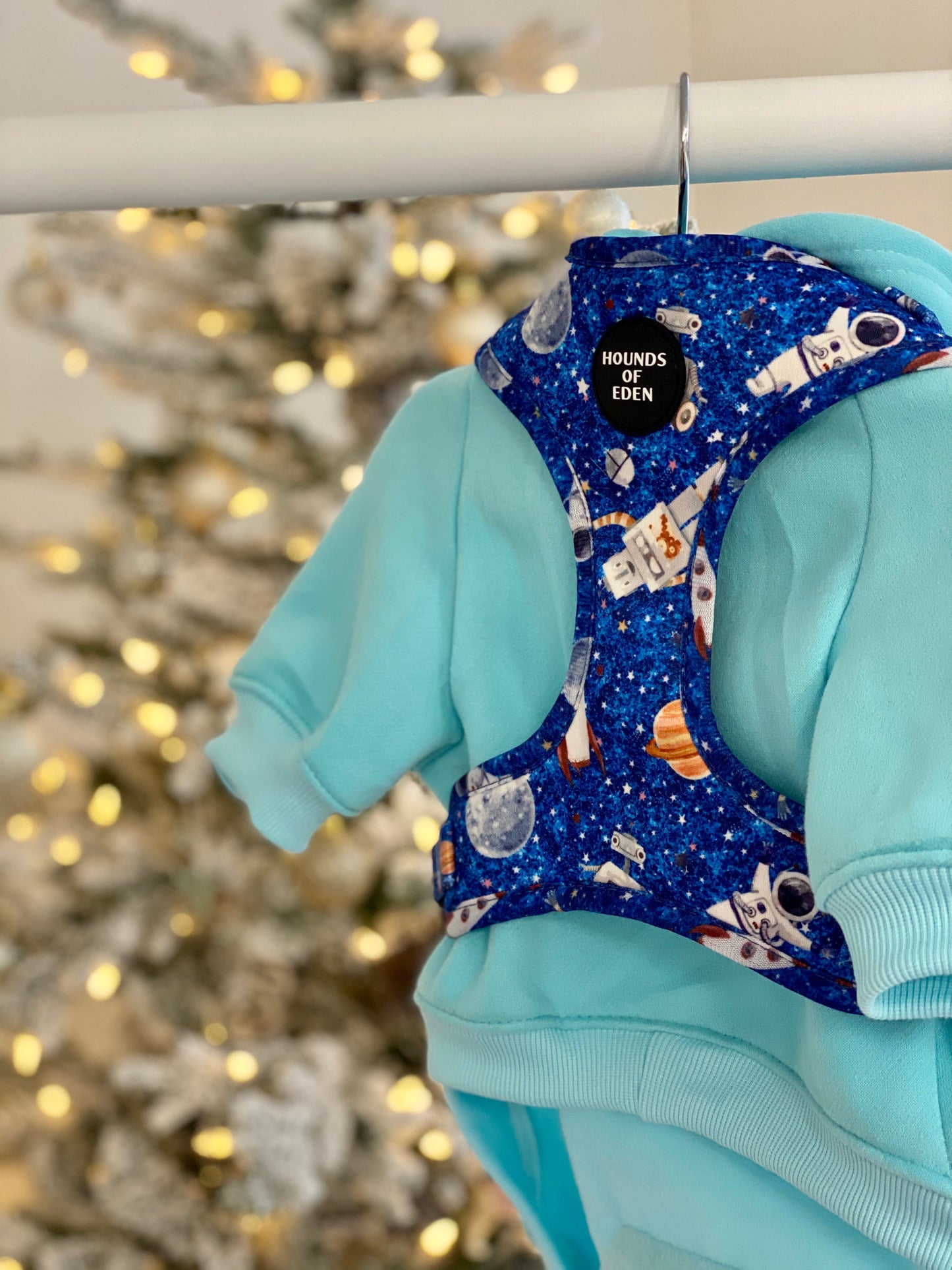 Dog Hoodie - Light Teal