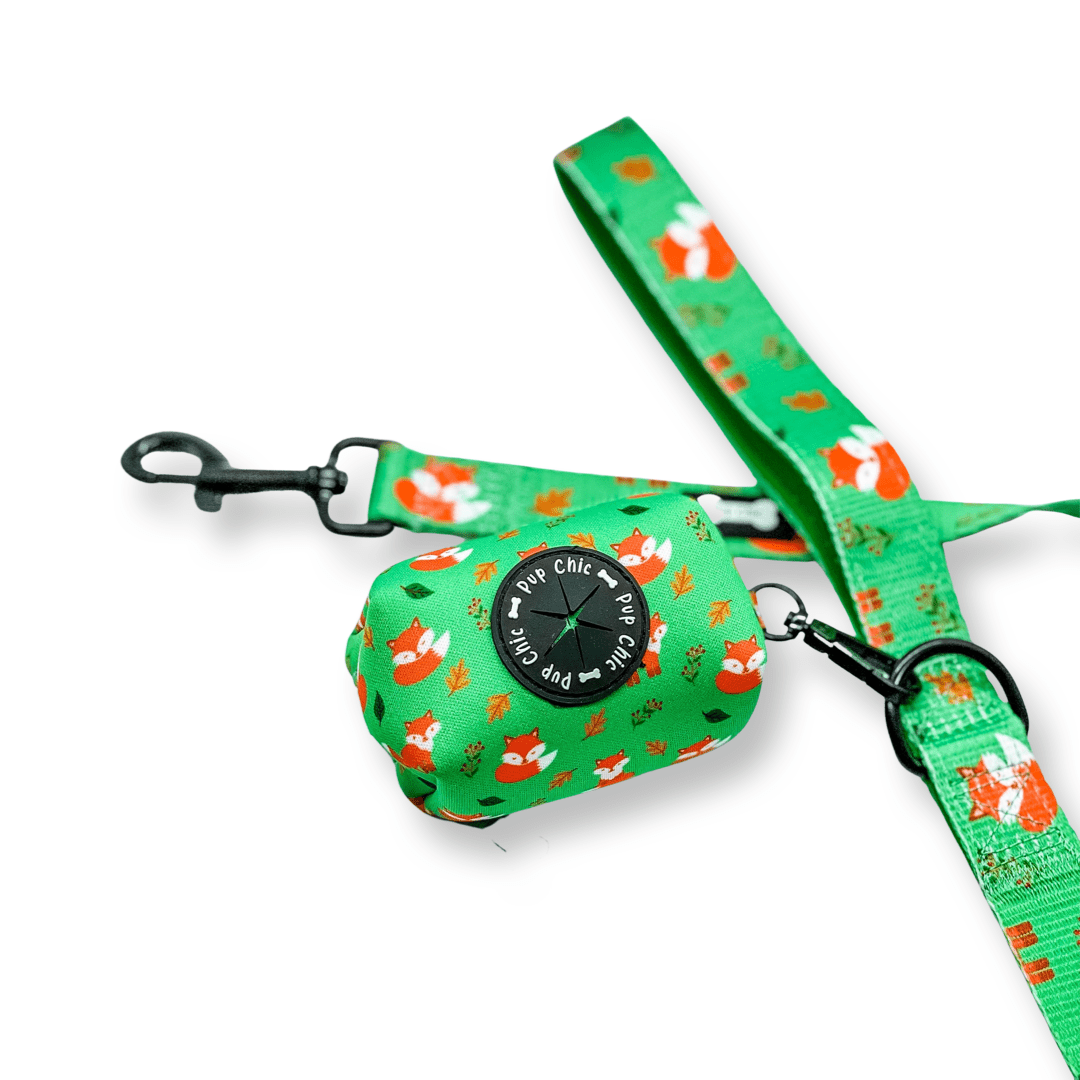 Inquisitive Fox 5ft Dog Lead