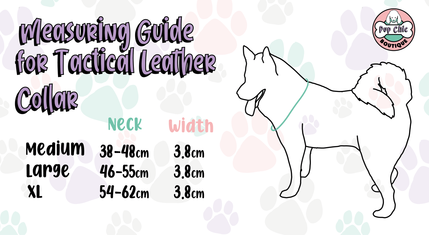 Inquisitive Fox Collar