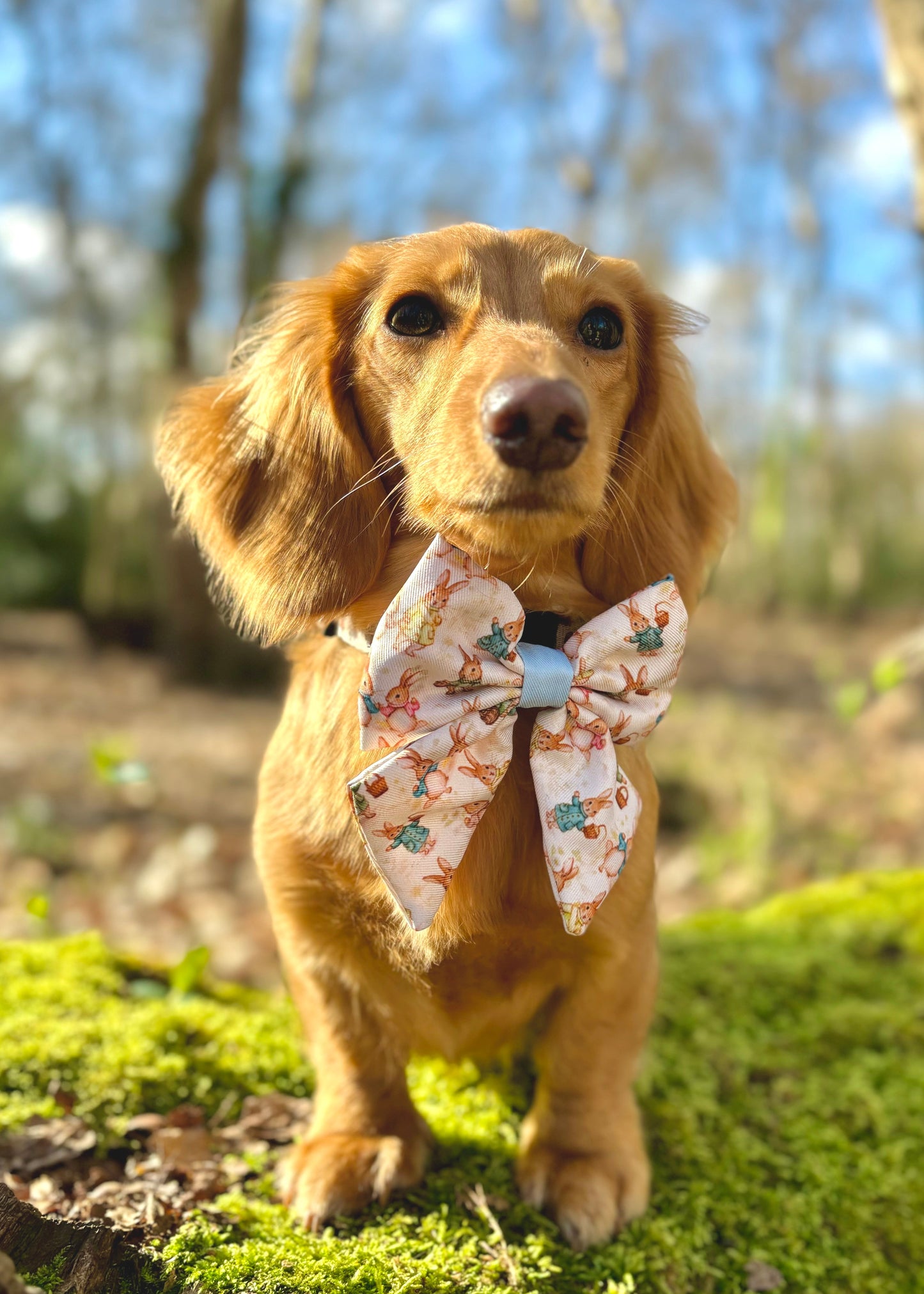 Bunny Tales - Blue, Sailor Bow Tie