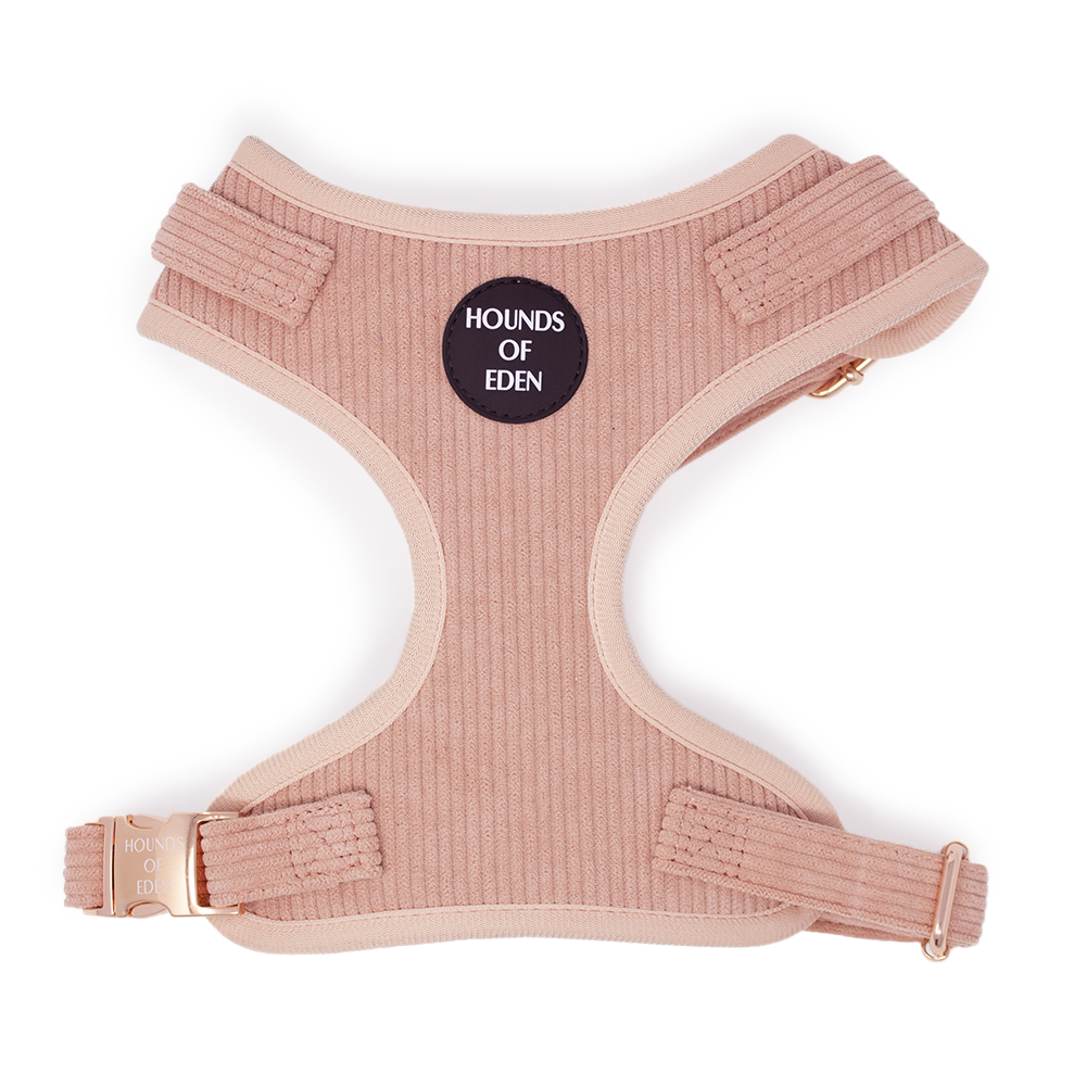 Peach Schnapps - Pink Corduroy Collar