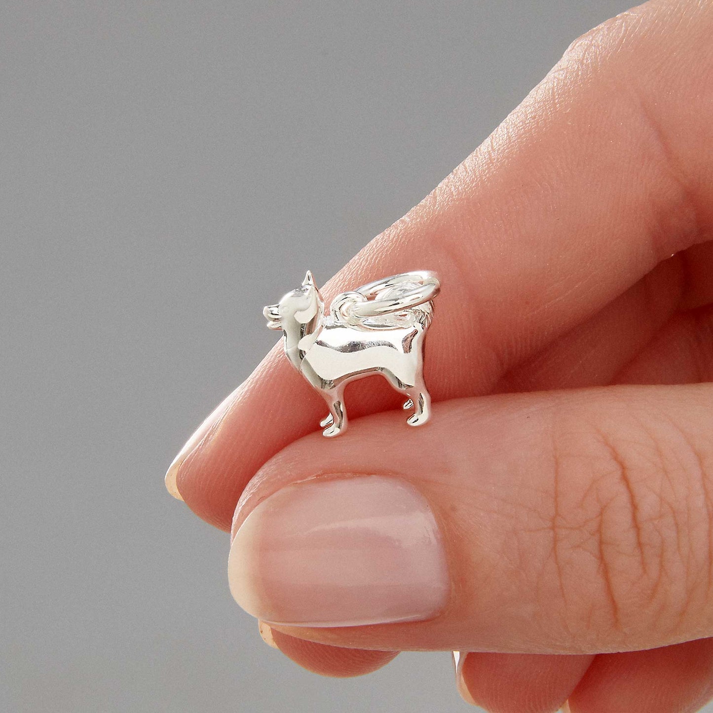 Pomsky Silver Dog Charm