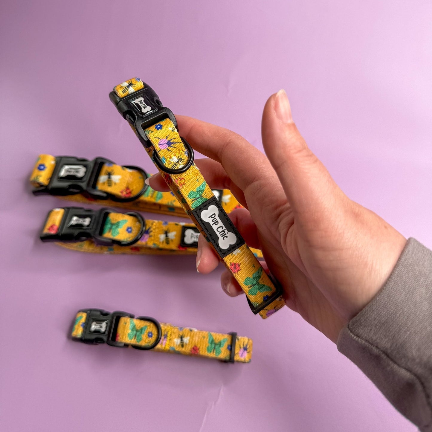 Summer Buzzin’ Dog Collar