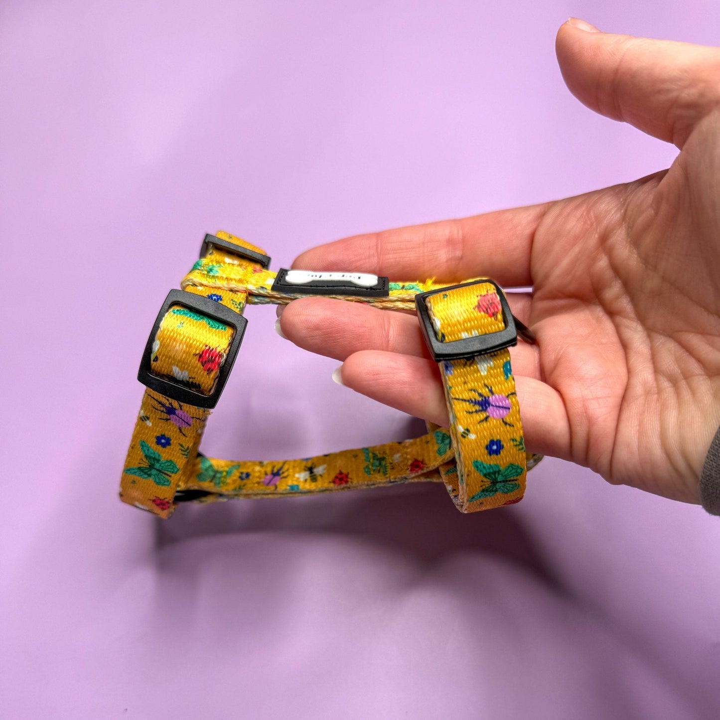 Summer Buzzin’ puppy XXXS strap harness